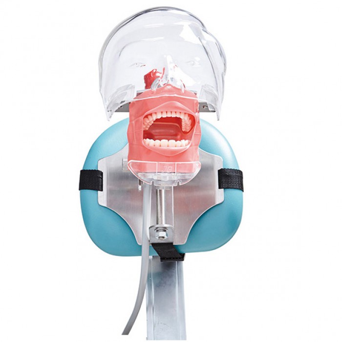Jingle C6-3 Dental Phantom Manikin Head Compatible with Nissin Kilgore