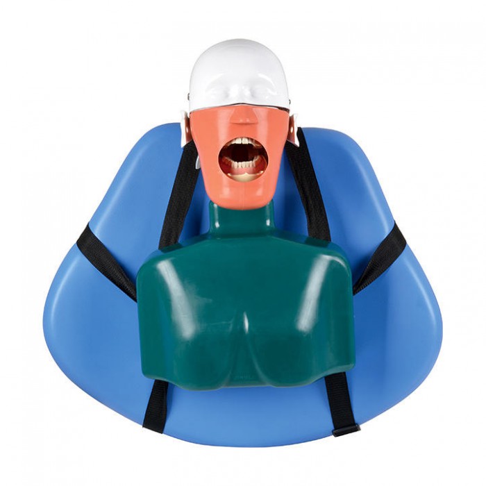 Jingle JG-C4 Dental Phantom Head Attach on Dental Chair Type Simulator