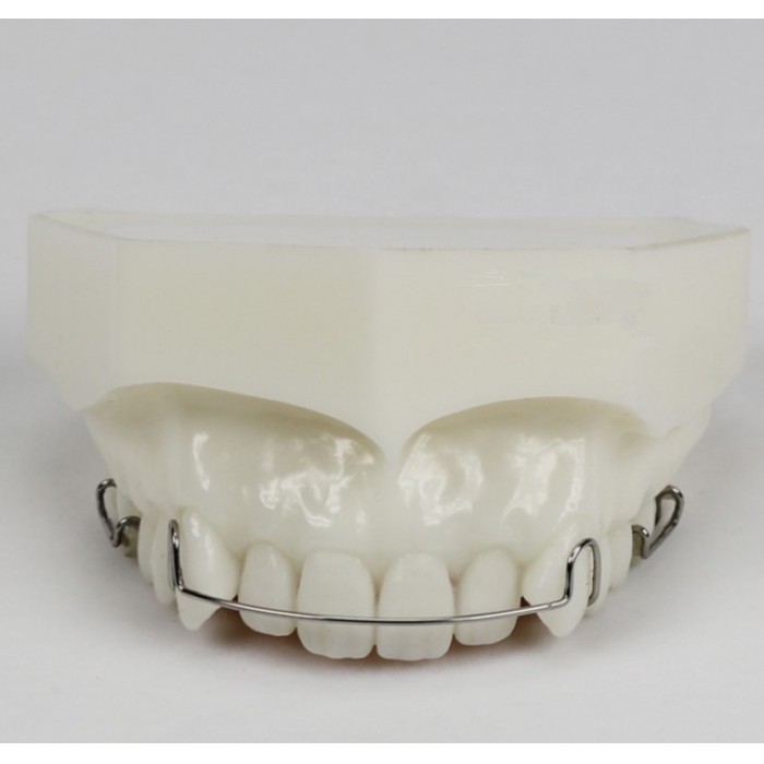 Orthodontic Demonstration Model Study Training Education M3007