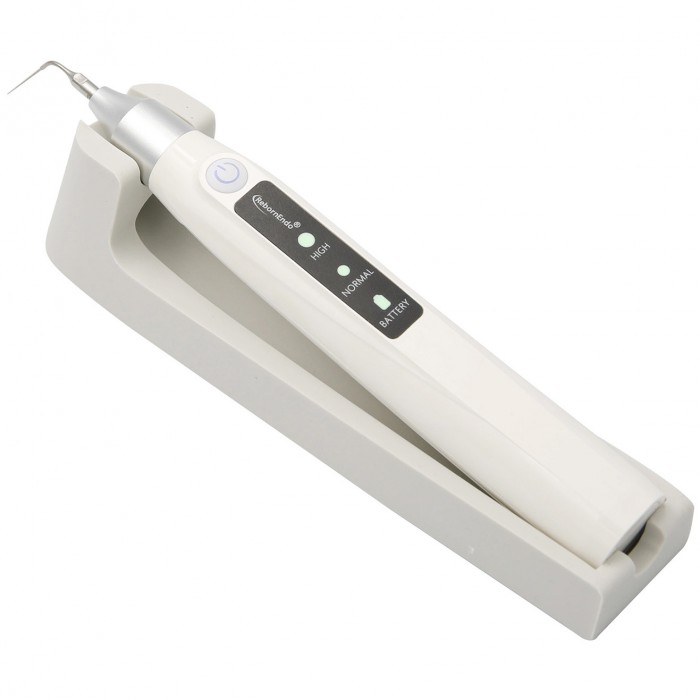 RebornEndo Ultra R6 Dental Cordless Ultrasonic Endo Activator Endodontic Activator