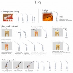 Woodpecker® UDS-P Dental Ultrasonic Scaler with LED Scaler Handpiece