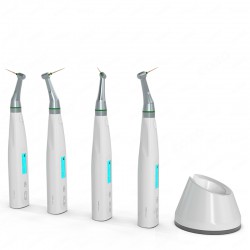 COXO C-smart Mini AP Dental Endodontic Endo Motor with Apex Locator