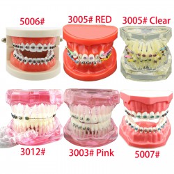 Dental Orthodontic Teeth Model with Metal Ceramic Bracket Tube Self-ligating Chain