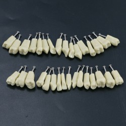 Dental Typodont M8021/M8022 28/32Pcs Replacement Teeth Fit Frasaco AG3/ANA-4