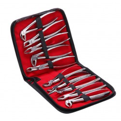 10Pcs/set Tooth Extracting Forceps Dental Pliers for Dentist Surgical Extraction Instrument