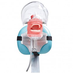 Jingle C6-3 Dental Phantom Manikin Head Compatible with Nissin Kilgore