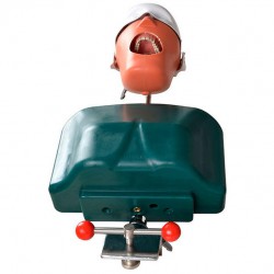 Jingle JG-C1 Clamp Type Dental Phantom Head Simulator Compatible with Nissin Kilgore/Frasaco