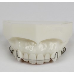 Orthodontic Demonstration Model Study Training Education M3007