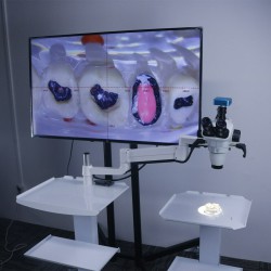 Trolley Type 5W Dental Endodontic Operating Microscope with Camera