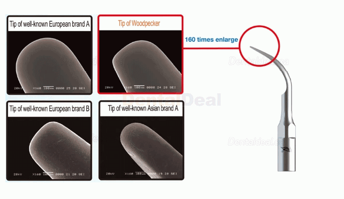 10Pcs Woodpecker Ultrasonic Scaler Tips Periodontic P1 P2L P2R P2LD P2RD P3 P3D P4 P4D