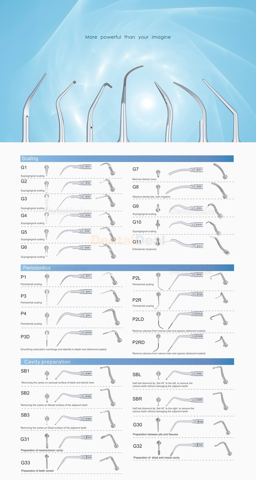 10Pcs Woodpecker Ultrasonic Scaler Tips Periodontic P1 P2L P2R P2LD P2RD P3 P3D P4 P4D