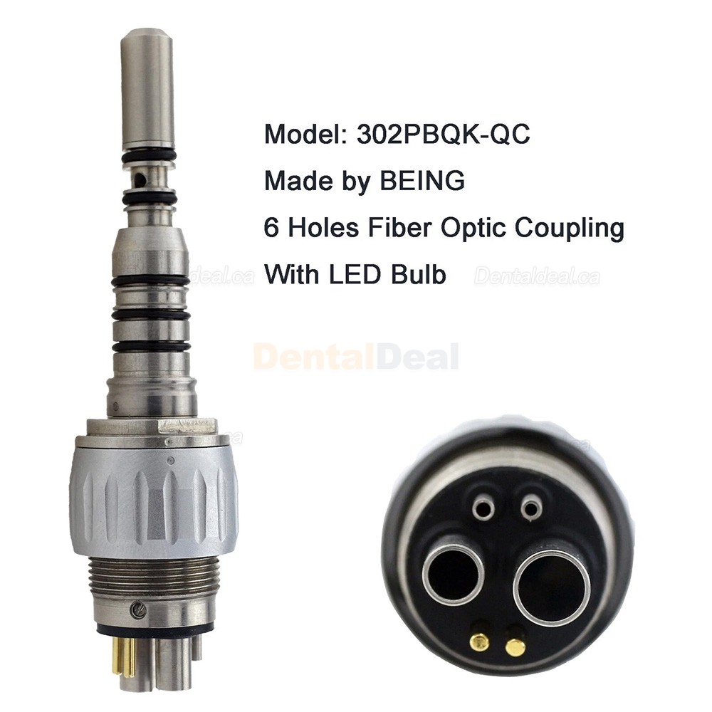 BEING 303PQ/303 PBQ Dental Fiber Optic Turbine Handpiece Fit KaVo MULTIflex Coupling Standard Head