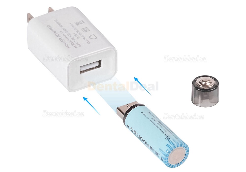 Dental Ultrasonic Endo Activator Endoactivator with 60Pcs Irrigator Tips