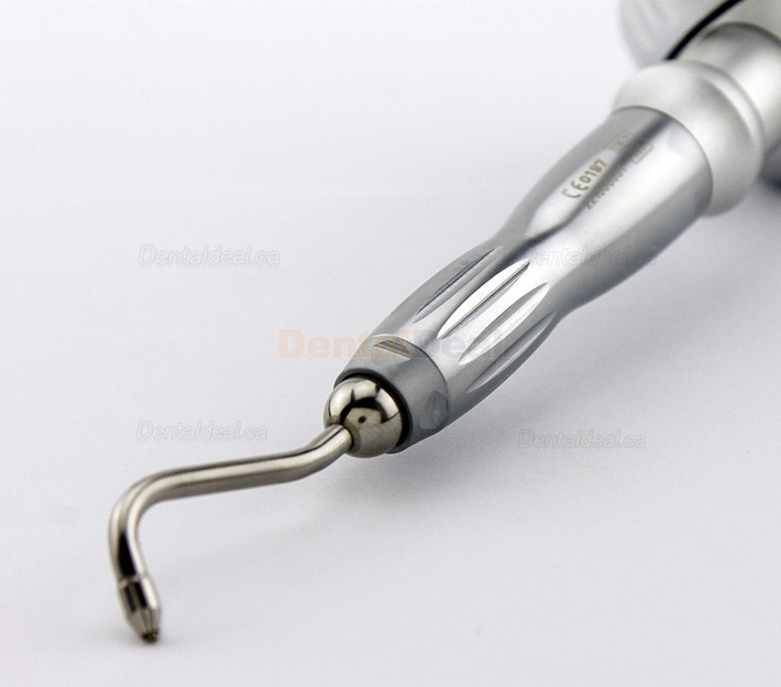 Dental Air Flow Prophy Jet Handpiece + NSK Quick Coupling 2 Hole