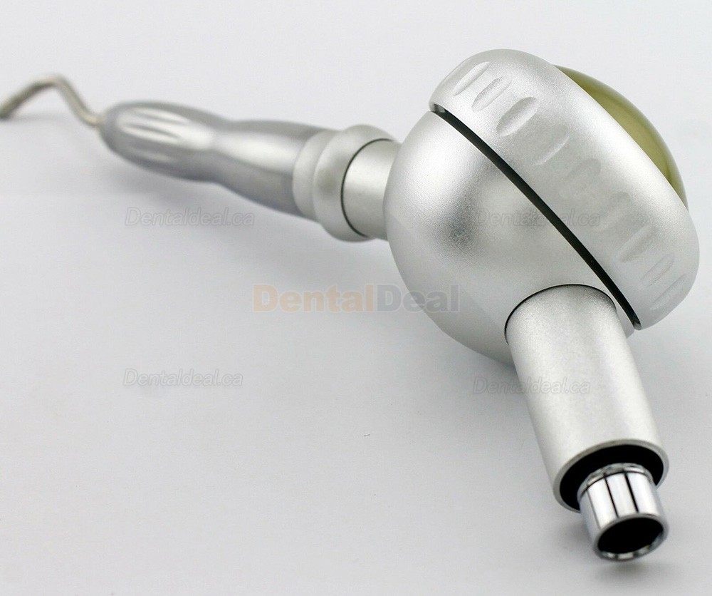 Dental Air Flow Prophy Jet Handpiece + NSK Quick Coupling 2 Hole