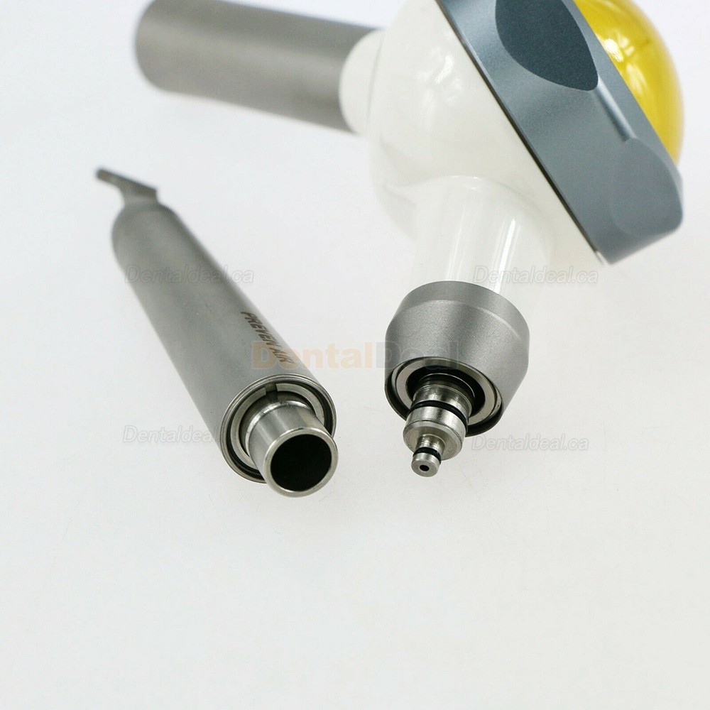 Dental Preven Air Flow Hygiene Prophy Polisher Fit Kavo Coupling
