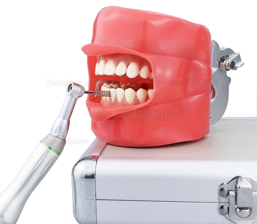 Westcode Orthodontic Contra Angle 4:1 Handpiece Reciprocating Stripping IPR