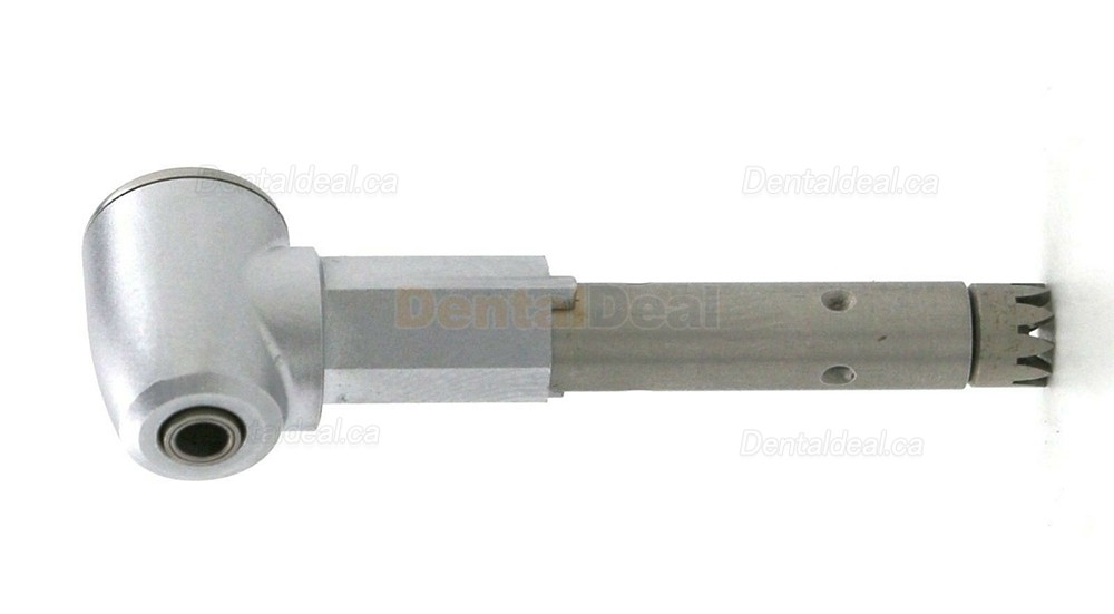 Being Rose 202CAP-B/202CAP Contra-angle Replacement Head Being Rose 202CAP-B/202CAP Contra-angle Replacement Head