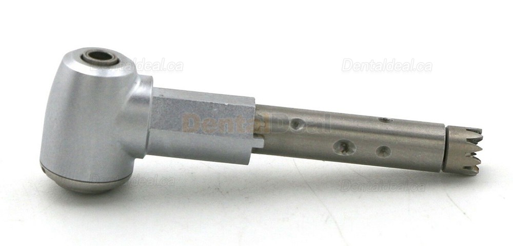 Being Rose 202CAP-B/202CAP Contra-angle Replacement Head Being Rose 202CAP-B/202CAP Contra-angle Replacement Head