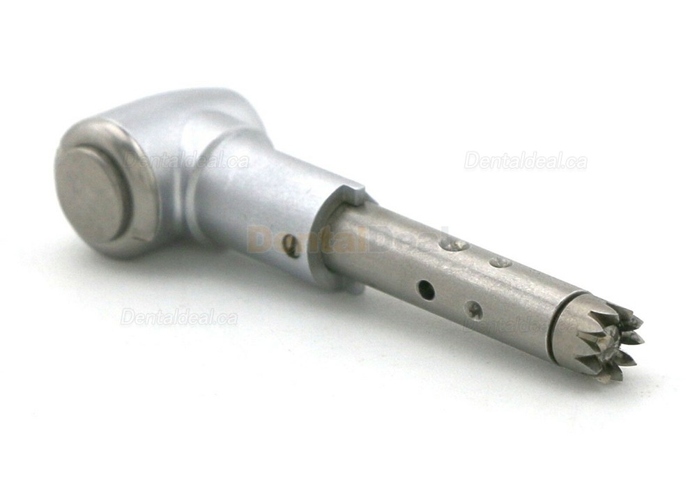 Being Rose 202CAP-B/202CAP Contra-angle Replacement Head Being Rose 202CAP-B/202CAP Contra-angle Replacement Head
