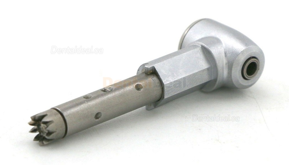 Being Rose 202CAP-B/202CAP Contra-angle Replacement Head Being Rose 202CAP-B/202CAP Contra-angle Replacement Head
