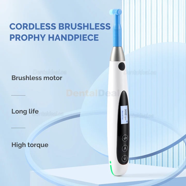 Betterway Wireless Dental Hygiene Prophy Handpiece 10 Speed Settings