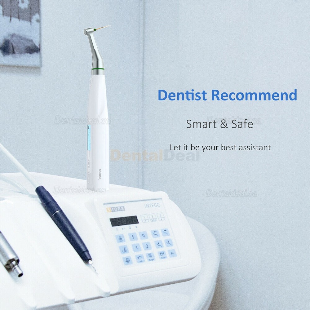 COXO C-smart Mini AP Dental Endodontic Endo Motor with Apex Locator