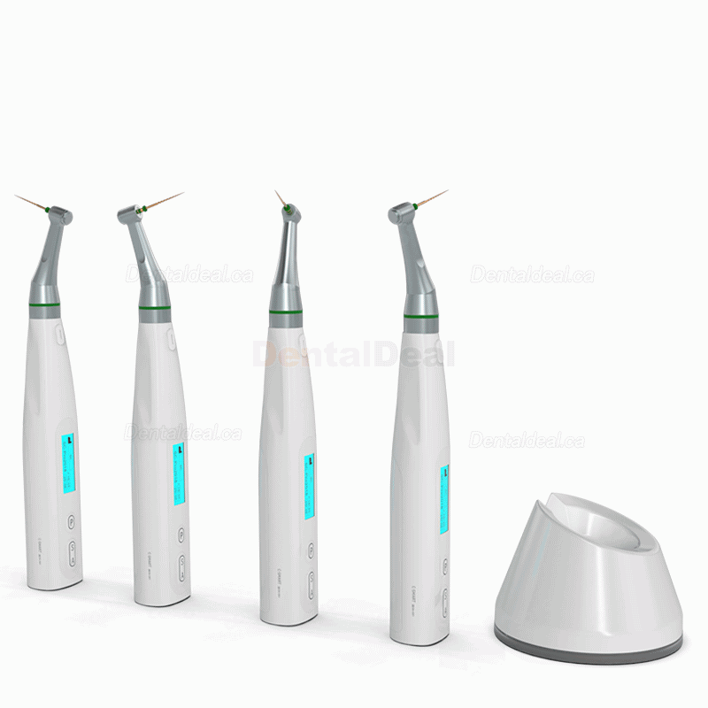 COXO C-smart Mini AP Dental Endodontic Endo Motor with Apex Locator