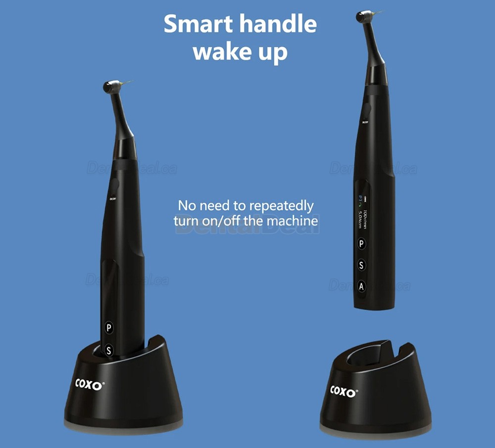 COXO C-Smart Mini AP+ Wireless Brushless Endodontic Motor with Apex Locator