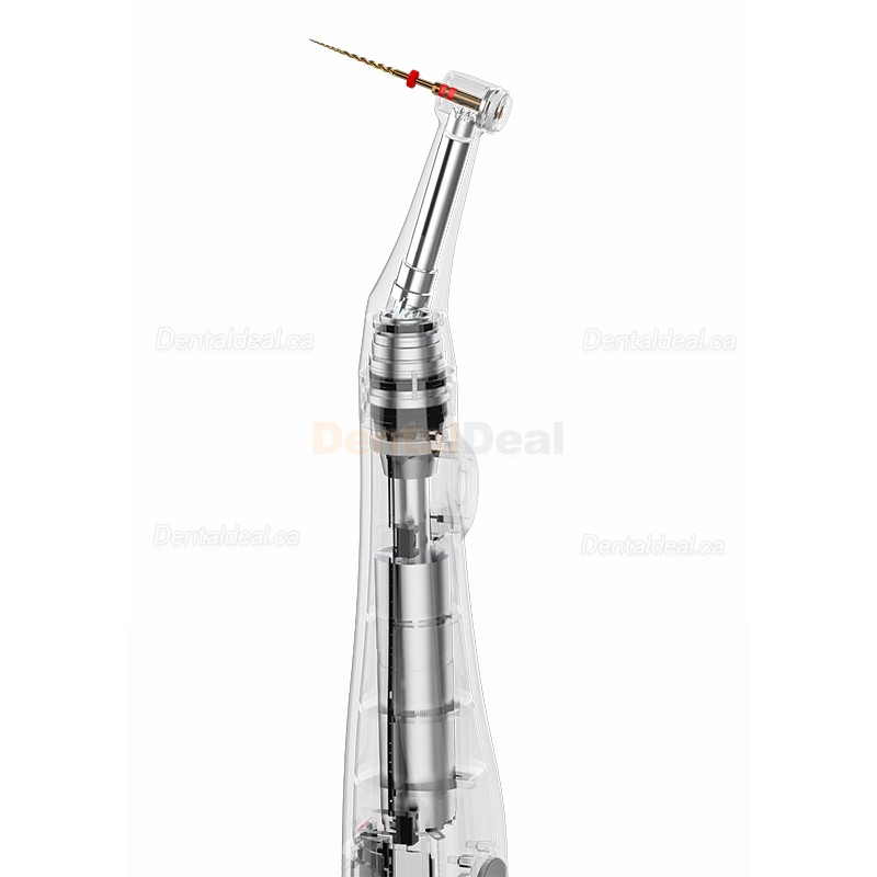 YUSENDENT COXO C-Smart-Mini Cordless Endodontic Endo Motor