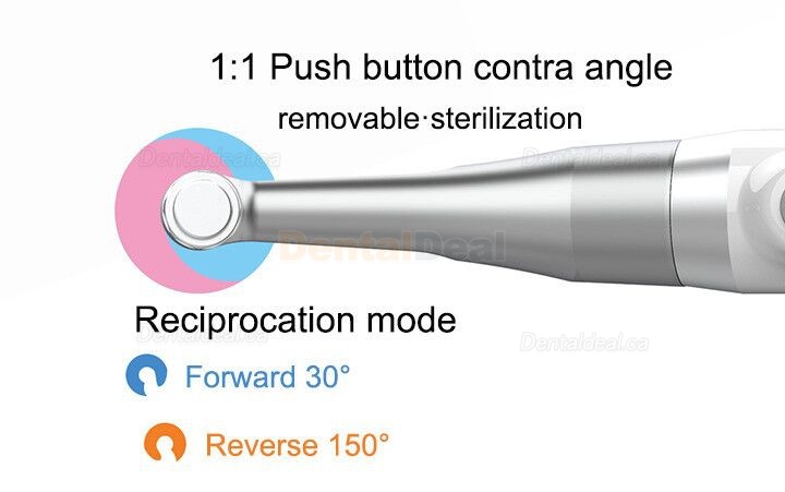 YUSENDENT COXO C-Smart-Mini Cordless Endodontic Endo Motor