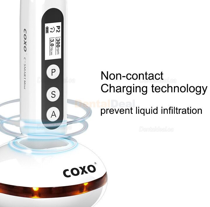 YUSENDENT COXO C-Smart-Mini Cordless Endodontic Endo Motor