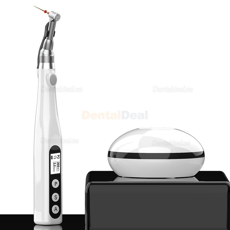 YUSENDENT COXO C-Smart-Mini Cordless Endodontic Endo Motor