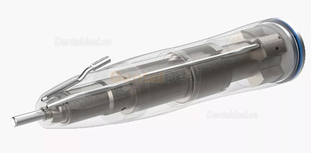 YUSENDENT COXO CX235 2BS/ CX235-2CS Dental Straight Surgical Handpiece