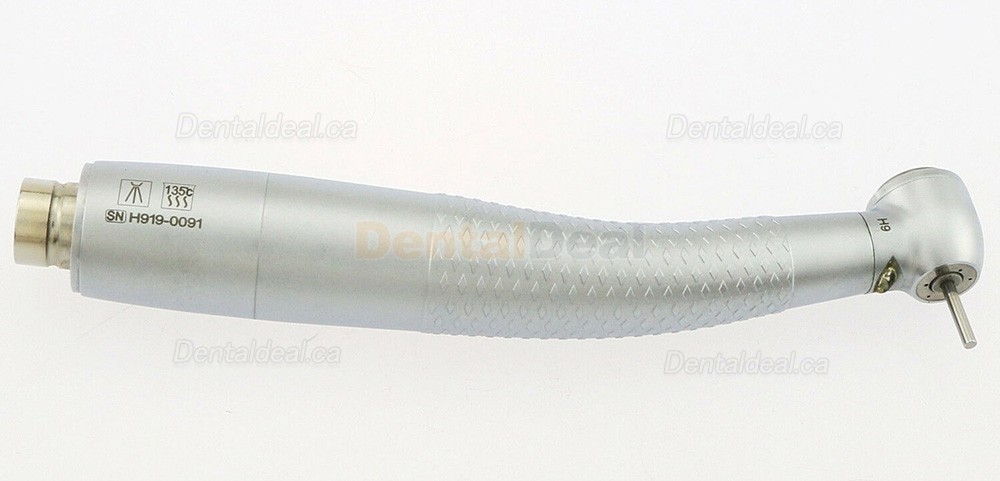 YUSENDENT CX207-F-PQ E-Generator LED High Speed Handpiece 2/4 Hole Fit NSK Phatelus Coulpling
