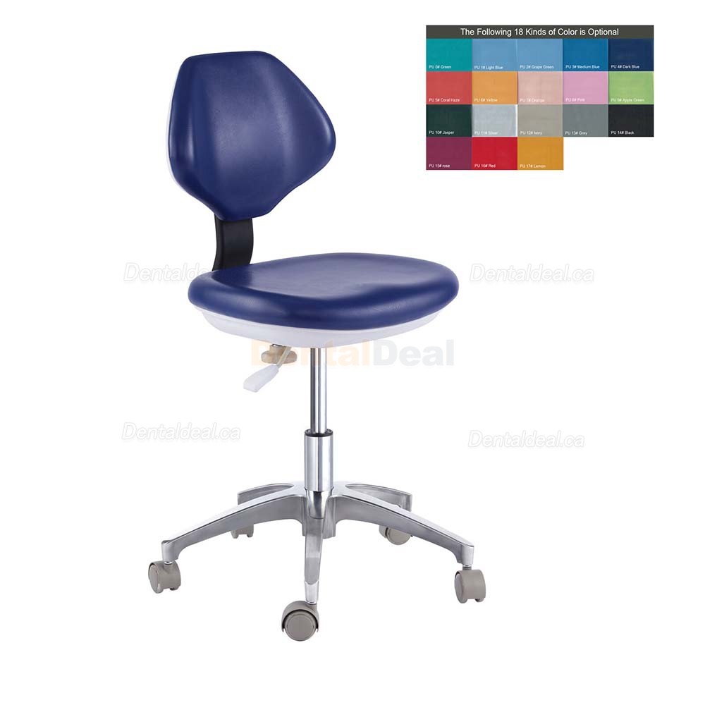 QY90G Ergonomic Dental Hygienist Stool Dental Assistant Chair with Backrest