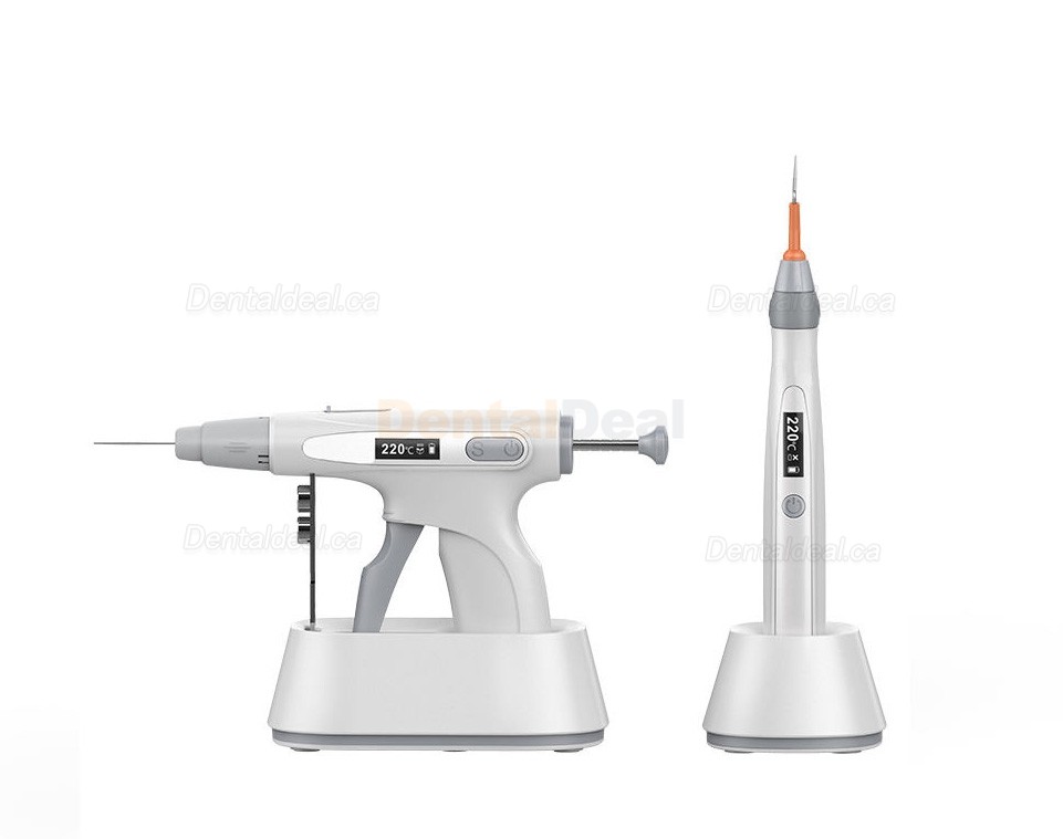 BEYOND Denwell-4 Gutta Percha Obturation System (Heating Pen + Filling Gun)