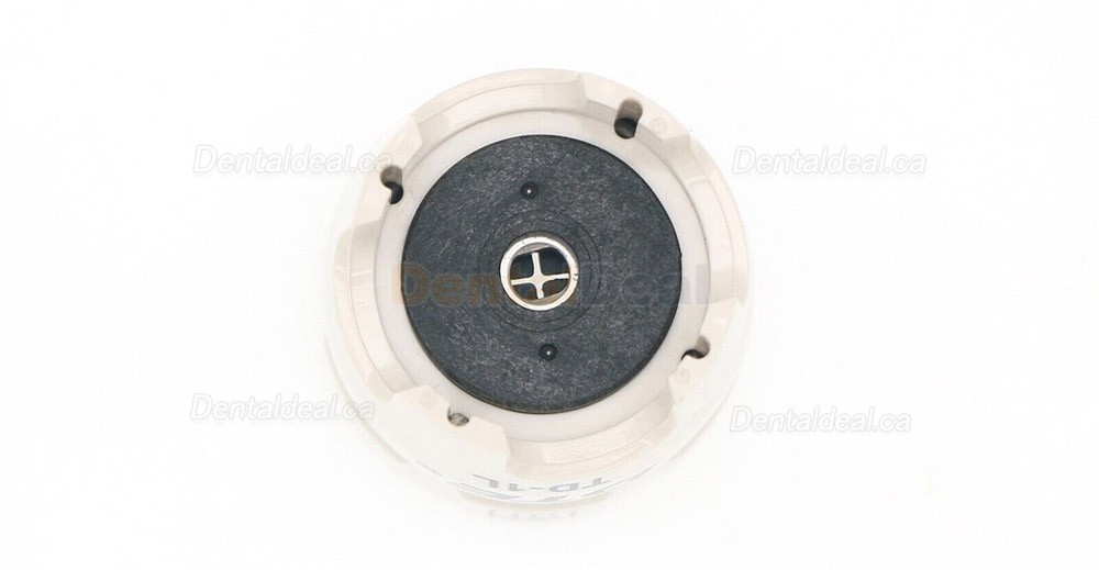 2Pcs Woodpecker DTE TD-1L Ultrasonic Scaler Tips Torque Wrench Fit DTE SATELEC