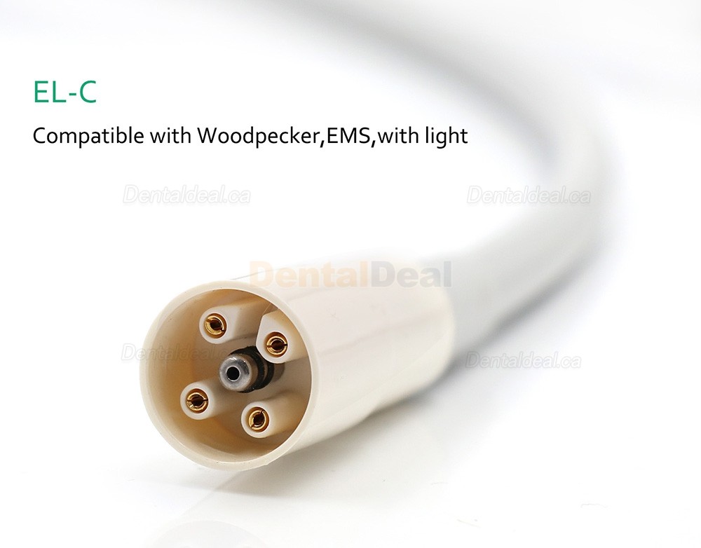 Dental Ultrasonic Scaler Detachable Cable Tube 4 Types Fit Woodpecker/EMS/Satelec/DTE