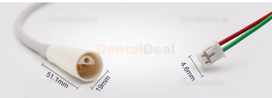 Dental Ultrasonic Scaler Detachable Cable Tube 4 Types Fit Woodpecker/EMS/Satelec/DTE