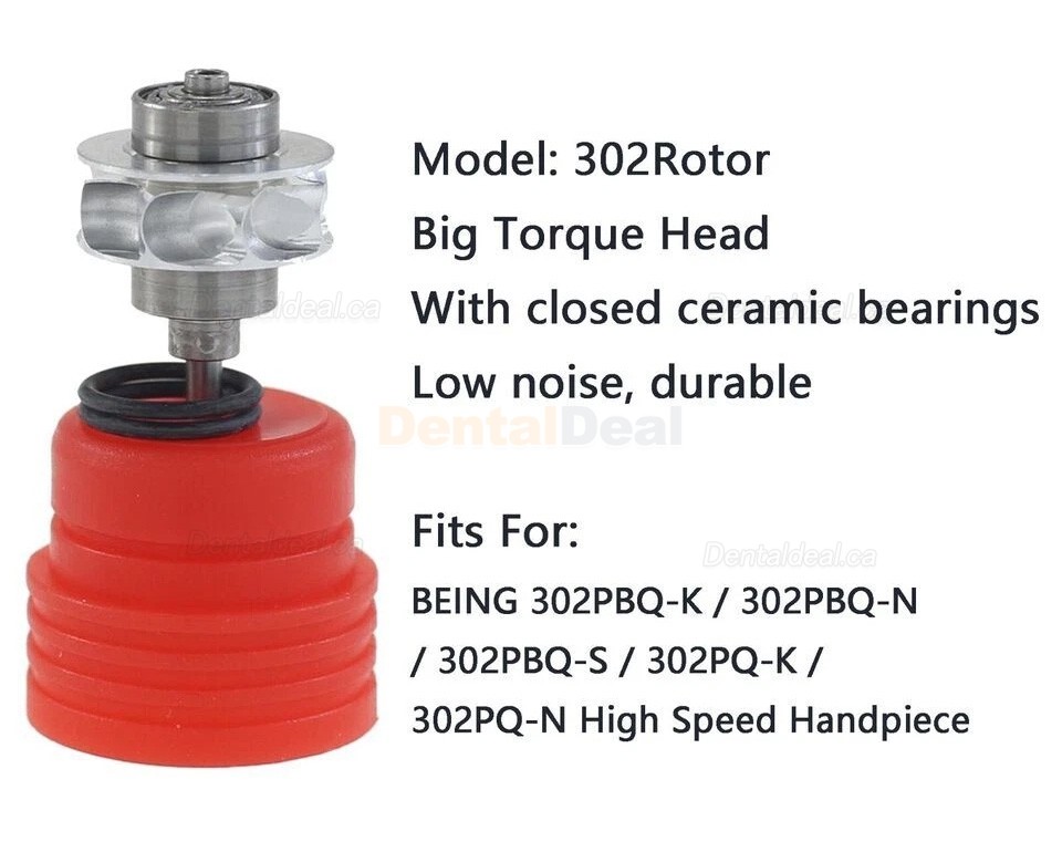 BEING Dental Fiber Optic High Speed Turbine Handpiece Fit KaVo Coupling 4 / 6 Hole