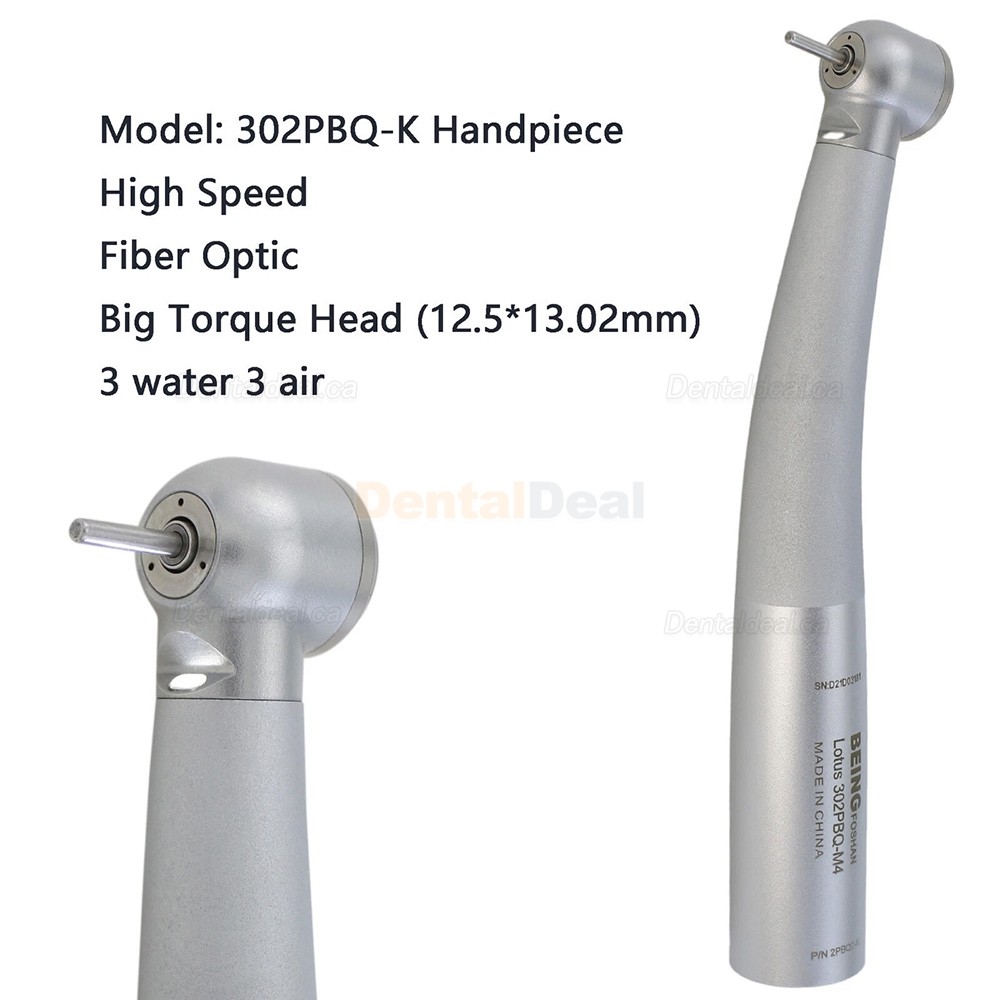 BEING Dental Fiber Optic High Speed Turbine Handpiece Fit KaVo Coupling 4 / 6 Hole