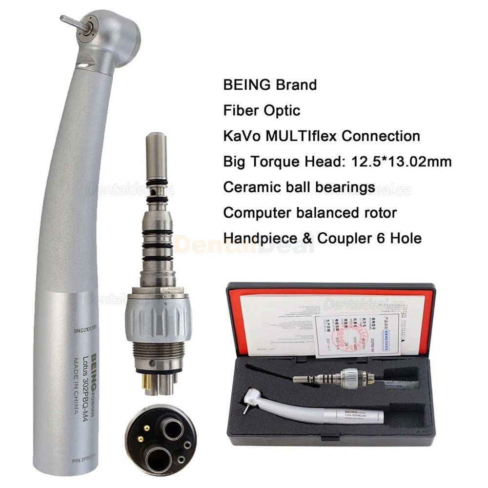 BEING Dental Fiber Optic High Speed Turbine Handpiece Fit KaVo Coupling 4 / 6 Hole