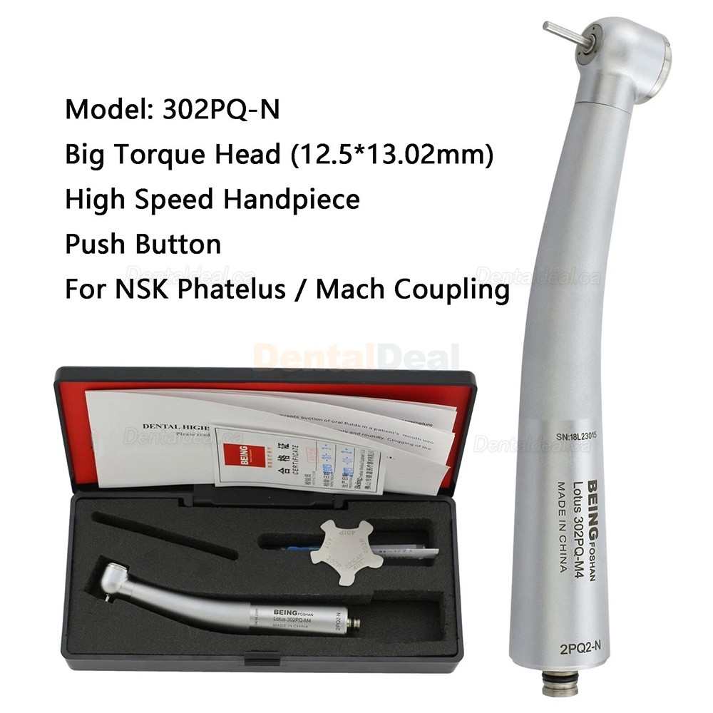 BEING Dental Fiber Optic High Speed Turbine Handpiece Fit KaVo Coupling 4 / 6 Hole