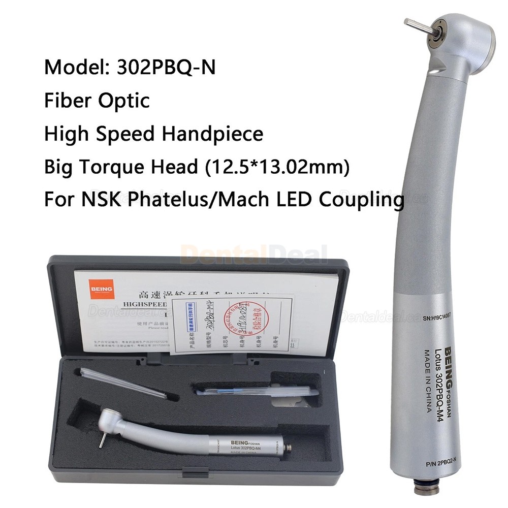 BEING Dental Fiber Optic High Speed Turbine Handpiece Fit KaVo Coupling 4 / 6 Hole