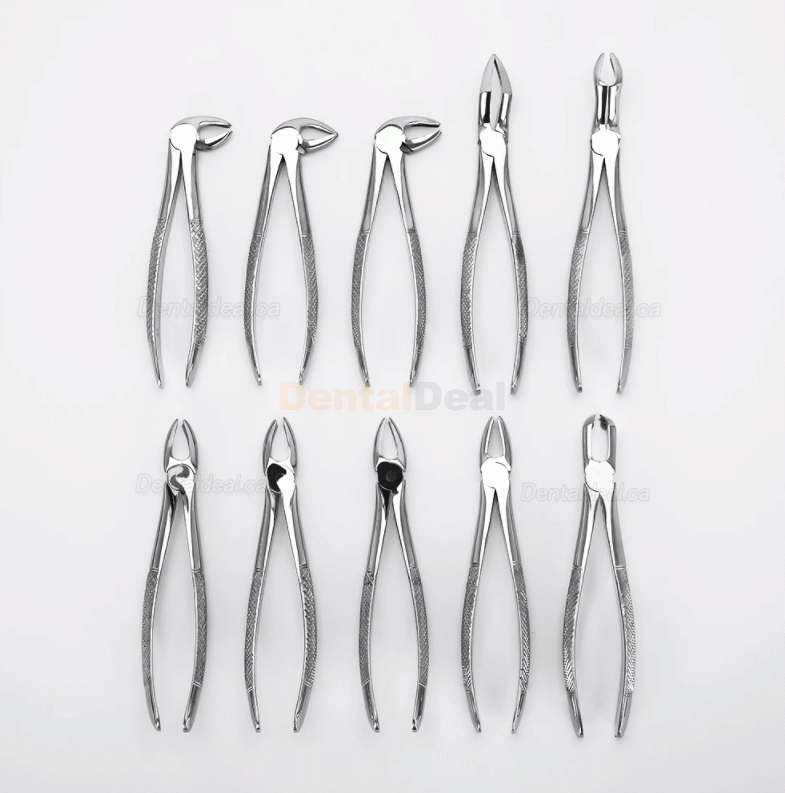10Pcs/set Tooth Extracting Forceps Dental Pliers for Dentist Surgical Extraction Instrument