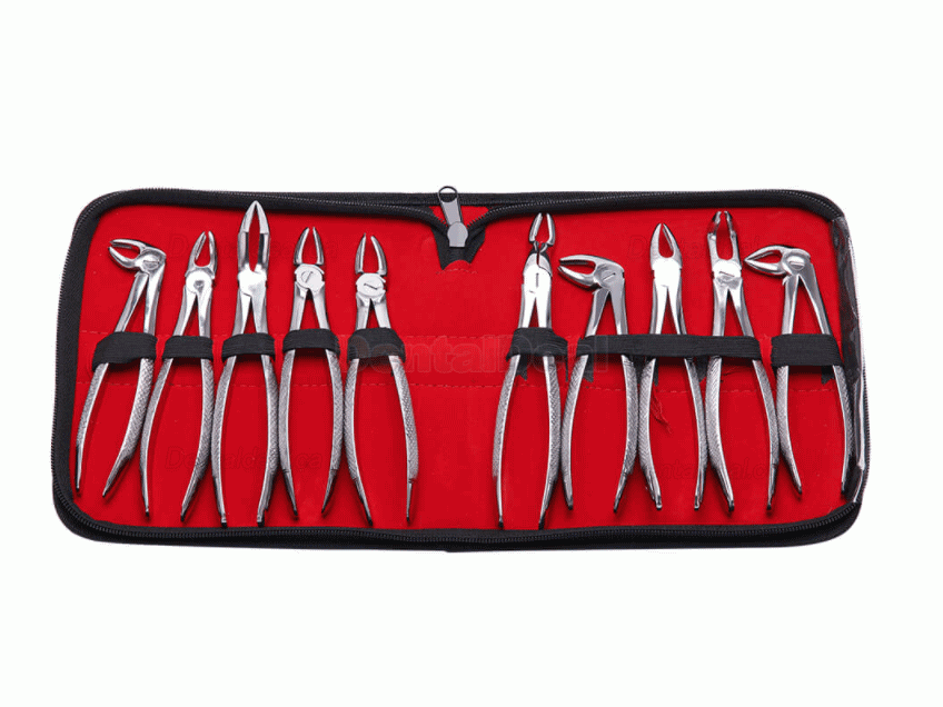 10Pcs/set Tooth Extracting Forceps Dental Pliers for Dentist Surgical Extraction Instrument
