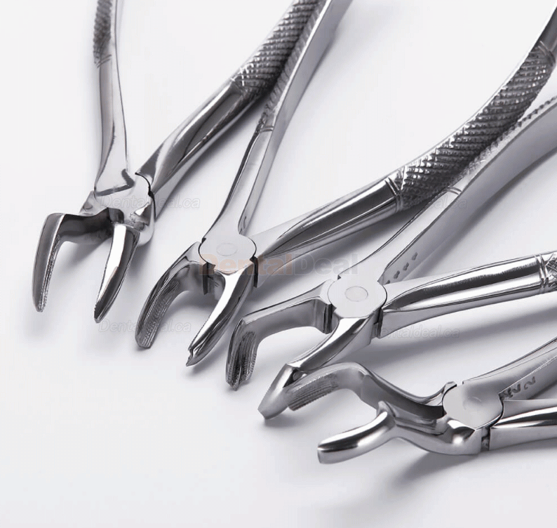 10Pcs/set Tooth Extracting Forceps Dental Pliers for Dentist Surgical Extraction Instrument