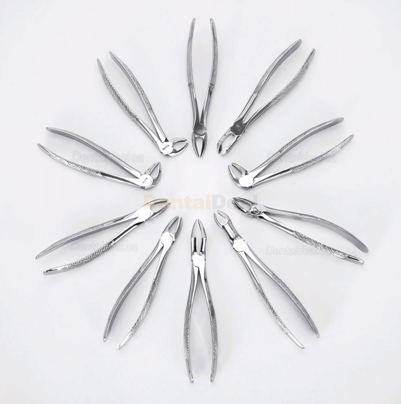 10Pcs/set Tooth Extracting Forceps Dental Pliers for Dentist Surgical Extraction Instrument