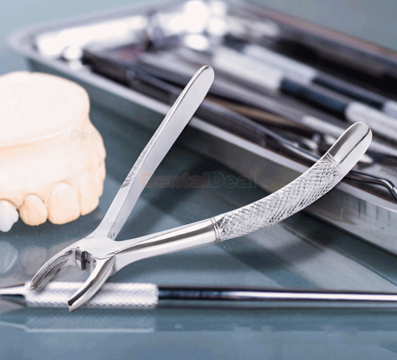 10Pcs/set Tooth Extracting Forceps Dental Pliers for Dentist Surgical Extraction Instrument